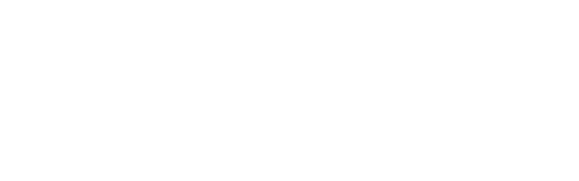 travelgow logo